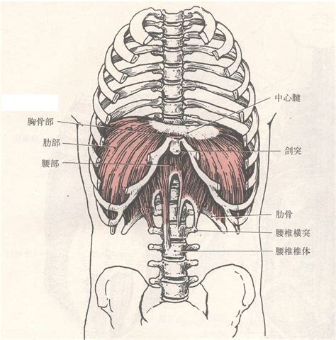 隔角